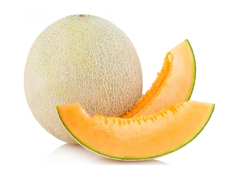 Types of melon - Cantaloupe Melon