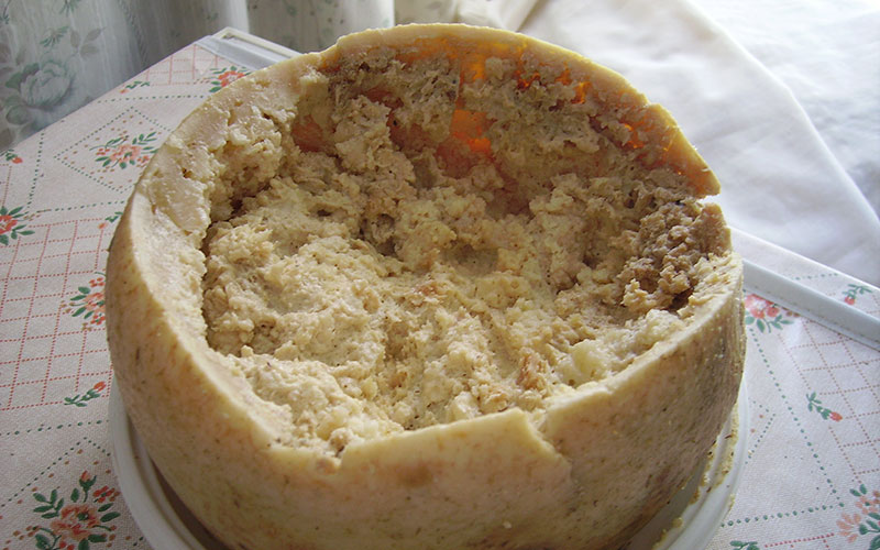 Casu Marzu Cheese