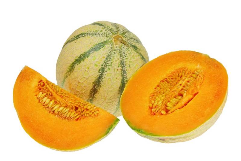 Types of melon - Charentais Melon