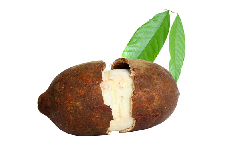 Cupuacu Fruit