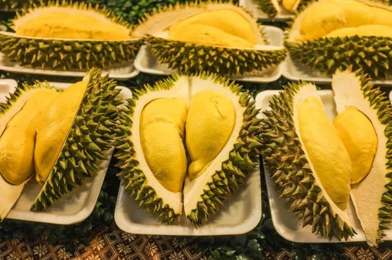 exotic fruits - Durian