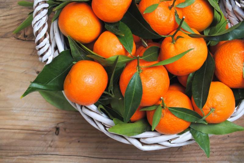 growing plants indoors - Mandarin Orange
