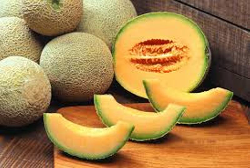 Types of melon - New Century Melon