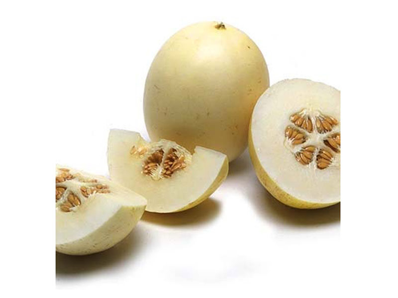 Types of melon - Sprite Melon