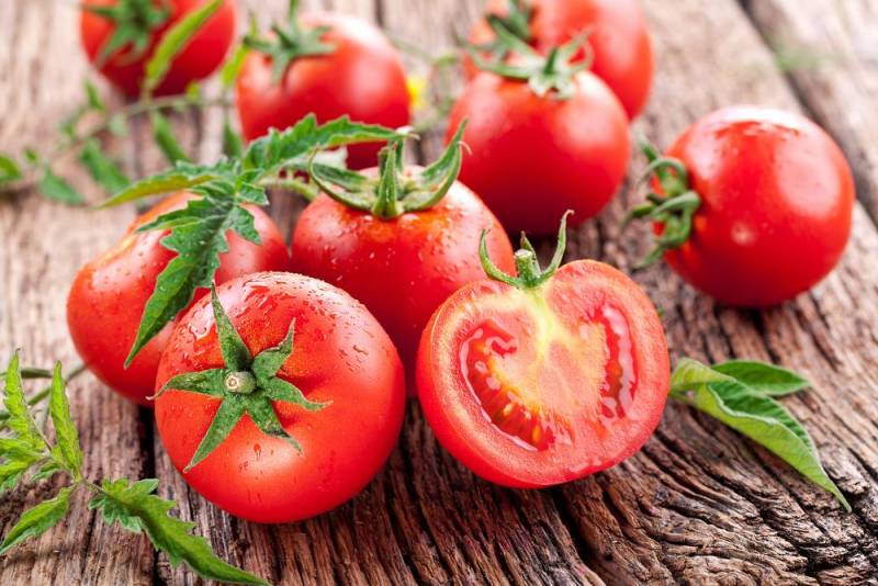 growing plants indoors - Tomato