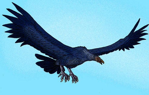 Argentavis - Prehistoric Predator Bird
