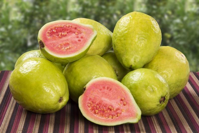 Guava - High Fiber Food
