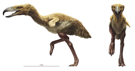 Kelenken - Prehistoric Predator Bird