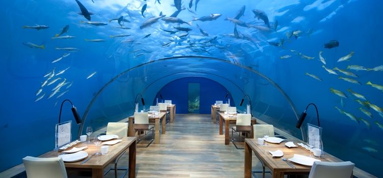 Maldives Underwater Restaurant