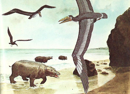 Osteodontornis - Prehistoric Predator Bird
