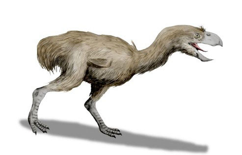 Physornis---Prehistoric-Predator-Bird2