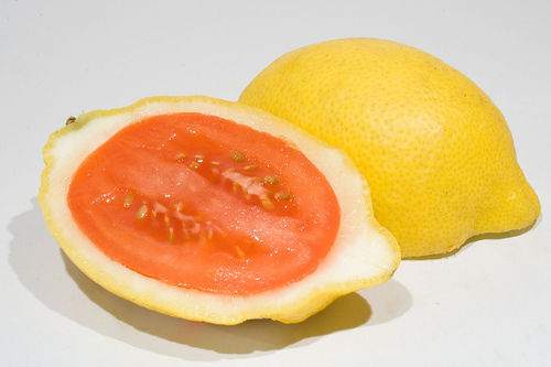hybrid fruit - Lemato