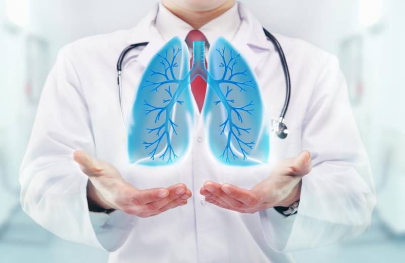 amazing facts about human body - Lungs