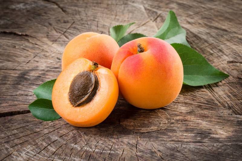 food poisoning - apricot