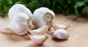 indoor growing - Garlic - image: hovidonlinestore.com