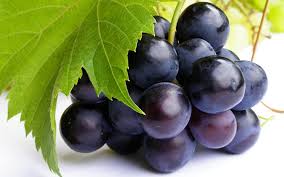 The Hidden Benefits of Black Grape