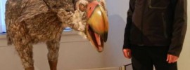 Terror Bird - Prehistoric Predator Bird