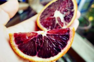 ybrid fruit list hybrid fruit list - Blood Lime