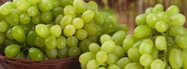 Green Grape