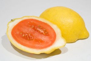 hybrid fruit list - Lemato