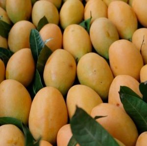 hybrid fruit list - Plango