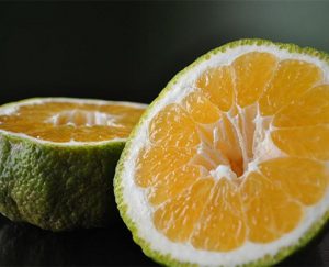 hybrid fruit list - Ugli Fruit